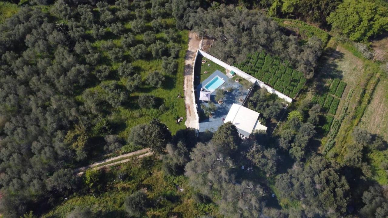 Villa Gardiki For2 Halikounas Zewnętrze zdjęcie